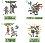 Naver search result photo 4