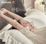 흙표흙침대대원상회 | 흙표흙침대, 창립 31주년 기념 초특가 상품전 진행