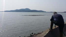 신안군 압해도 갯벌 도요물떼새 기록 보고서 발간