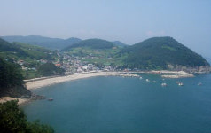 바다의 산삼, 전복 따러 남해로 오세요