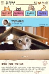 후기