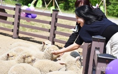 캠핑 즐기며 이색동물 체험…영월 펫힐링 달빛동물원 개장