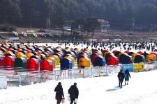 평창송어축제 얼음낚시터 북적