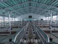 지리산파크경매장 | 함양군, '경남 최초' 염소경매시장 20일 개장