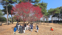 반곡동 배움터 문화공원 | 광양시 우산문화공원 유아숲체험원, '자연 속 배움터'로 각광