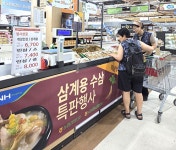 농협수삼랜드146호 | 농협, 삼복 앞두고 '삼계용 수삼' 특별 할인…인삼 농가·소비자 '윈윈'