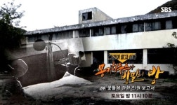 ‘마리텔’, ‘그것이 알고 싶다’… 올해를 빛낸 방송 콘텐츠는?