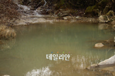 섬강벨라스톤CC레스토랑 | 횡성 섬강CC 흙탕물, "언제까지?"