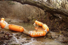 섬강벨라스톤CC레스토랑 | 횡성 섬강CC 흙탕물, "언제까지?"