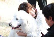 '옥탑방 왕세자' 한지민, 애견인 입증 "폭신폭신해요~"
