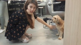 햇잎갈비순심이집 | 순심이 3년 전 모습 새삼 화제 "지금봐도 불쌍...좋은 주인 만나서 다행"