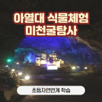 피엠아이제주컴퍼니 | 교육관광기업 (주)제주야컴퍼니, 제주체험스쿨 프로그램 런칭