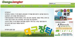 대구농특산물유통대구장터지점 | 농특산물 인터넷쇼핑몰 ‘대구장터’ 문열어
