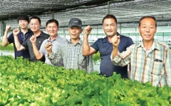 벽제농산물상회 | 벽제농협 ‘친환경채소작목회’ 쑥쑥