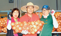 소양농산생산자 | “완주 양파 올해 더 맛있어요”