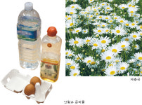 주식회사 자람씨네텃밭 | 작은 텃밭엔 직접 만든 ‘천연농약’ 뿌려보세요