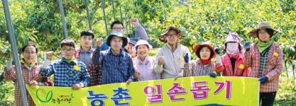 보성북부농협가공공장 | 보성 북부농협, 복숭아 봉지씌우기 등 도와