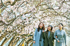 이서면 신촌리 485 | “여기는 벌써 봄이네요”