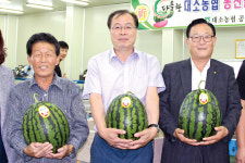 새다올농산 | ‘다올찬수박’ 판로개척 총력