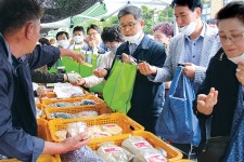 대전농협석유판매소 | 대전농협, 얼어붙은 지역경제 살리기 총력