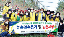서부마을친환경농산물작목회 | 대전서부농협·도시주부 농산물체험구매단, 자매결연 마을 찾아 일손돕기