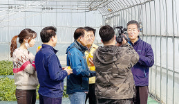 초전농협, 참외 판매 활성화…매출 ‘쑥’