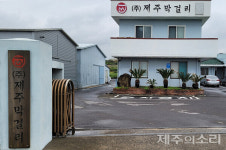 "회사 명운 걸렸다" 법적 분쟁 뛰어든 제주막걸리…왜?