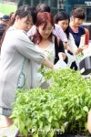 신흥채소·육묘 | '채소 모종에 미소가 절로~'