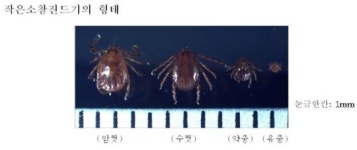 (주)에스제이온 국민마트 | 서울시, 야외활동시 진드기 주의 당부