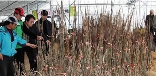 세종시 전의면, 국내최대 '조경수파크·유통단지' 조성