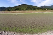 (주) 세스코 충남지역단 충남서부지부 | K-water, ‘충남 서부지역 가뭄 극복 위한 대토론회’ 개최