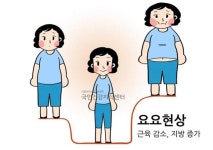요요현상의 원인, 무리한 감량계획 피해야…한달에 '2~3kg' 또는 6개월에 '체중의 10%'가 적당!