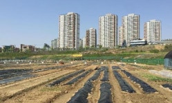 청주도시민 텃밭농원 분양
