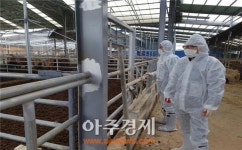 임피 축산경로당(축산리 348-3 앞) | 군산시 임피면, 구제역·AI 청정지역 사수 위해 총력전!