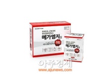 메가 엠지 인터내셔널 | 동성제약, 마그네슘이 포함된 비타민 ‘메가엠지’ 출시