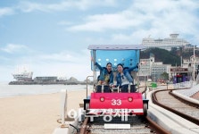 코레일관광개발, 2월 1일부터 정동진레일바이크 운행 재개