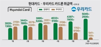 현대우리조경주 | 현대-우리카드, 대출사업 '극과 극' 행보…향후 수익성 갈린다