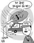 태풍에 쓰러진 나무로 주차차량 손상됐다면