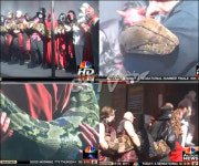 7.6m 메두사 화제, "45kg 동물도 언제든지 잡아 먹을 수 있다"
