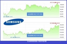 가비엔누리삼성생명휴먼 | "우리는 형제입니다" 삼성생명(주가 10만원)VS 삼성화재(28만원)
