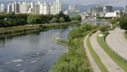 “사람·자연·문화가 숨쉬는 대구 신천”