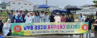 남부동-도남동-16 | 영천 남부동 어르신들, '사랑의 모내기'로 이웃사랑 실천