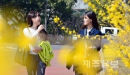 이십일세기연세원리탐구2관-캠퍼스 | 봄기운 완연한 캠퍼스