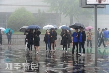 봄비내리는 제주대 교정/제주대학교