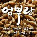 엄부랑, 25일부터 우리 밀 소중함 알리는 빵 시식회