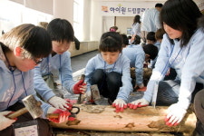 사단법인 폐광지역교육문화원 | 폐광지 어린이 초청 문화예술체험