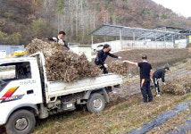 호앤리영월지점 | 축협 영월지점 농촌 일손돕기