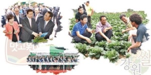 한국미강연합유통(주) | 연합판매사업 양적성장…유통 활성화