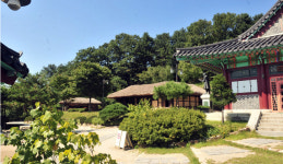 김유정 마지막 제자의 이야기