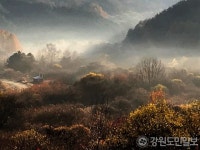 비밀의정원/뮤즈돌 | 안개 속에 감춰진 ‘인제 비밀의 정원’으로 초대합니다